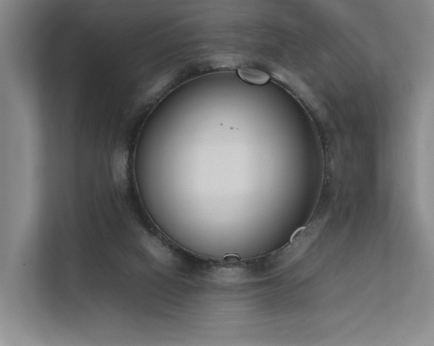 X0000111780066200907231131