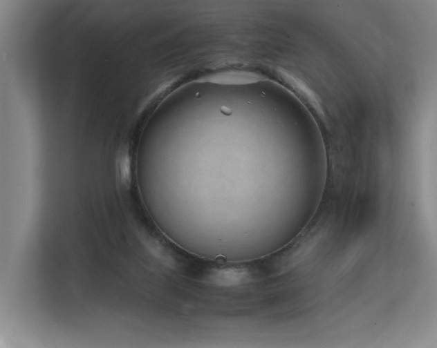 X0000111780067200907231131