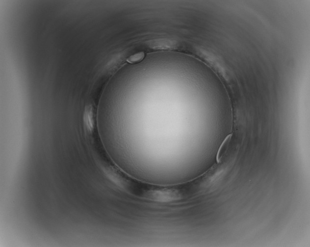 X0000111780069200907231131