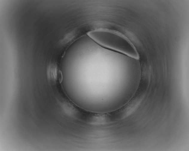 X0000111780076200907231131