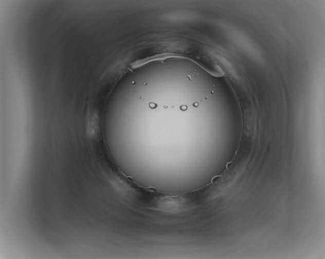 X0000111780077200907231131