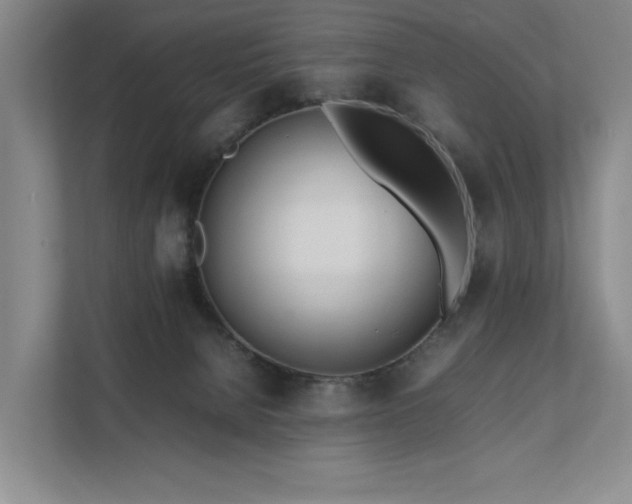 X0000111780080200907231131