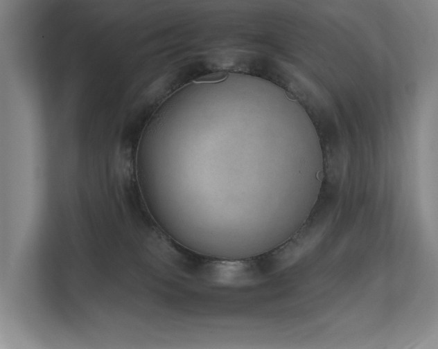 X0000111780085200907231131