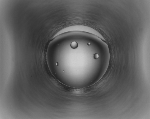 X0000111780088200907231131