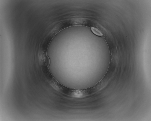 X0000111780091200907231131