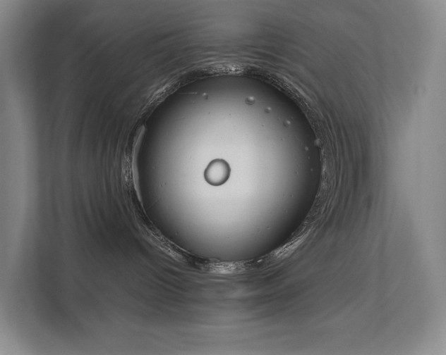 X0000111780096200907231131