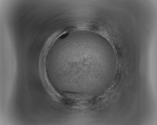 X0000111780097200907231131