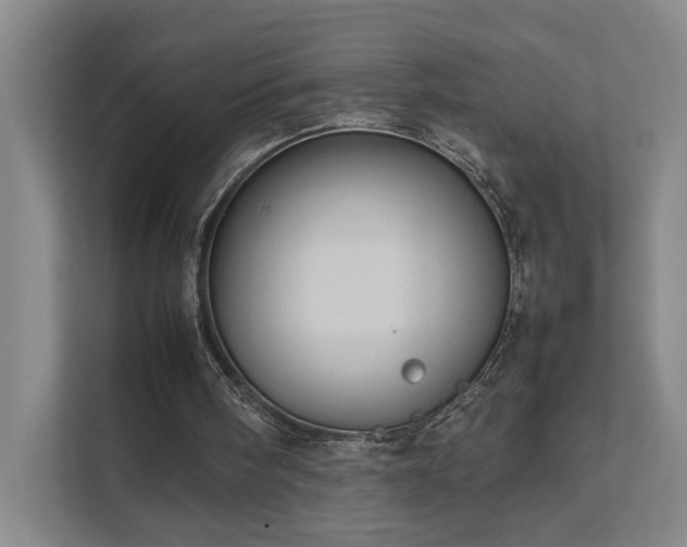 X0000111780098200907231131