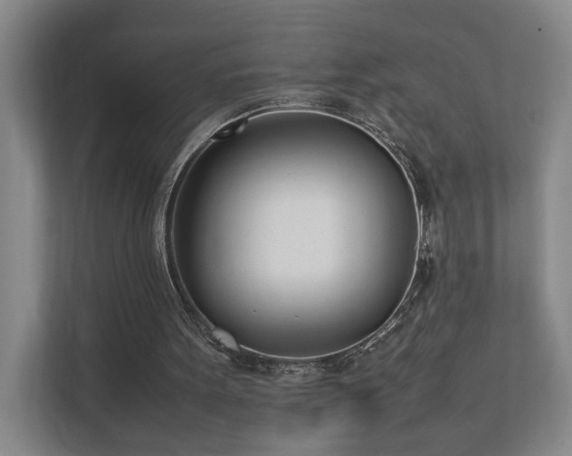 X0000111780099200907231131