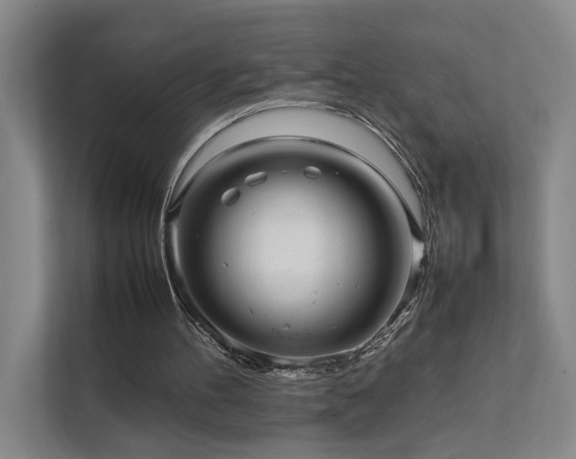 X0000111780100200907231131