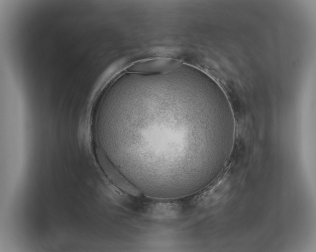 X0000111780101200907231131