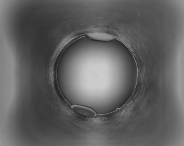 X0000111780103200907231131