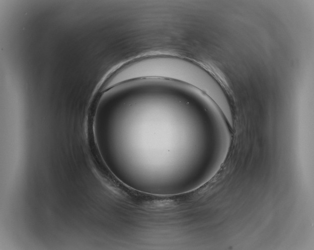 X0000111780108200907231131