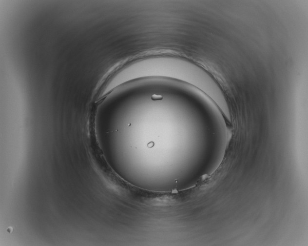 X0000111780112200907231131