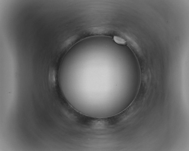 X0000111780115200907231131