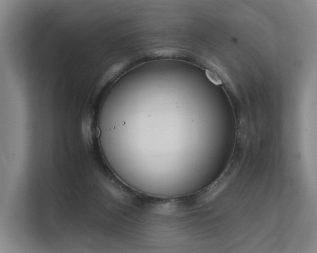 X0000111780116200907231130
