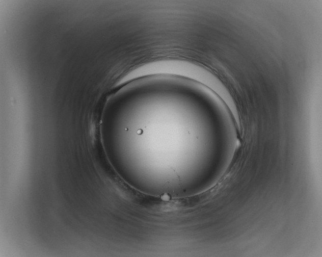 X0000111780124200907231130