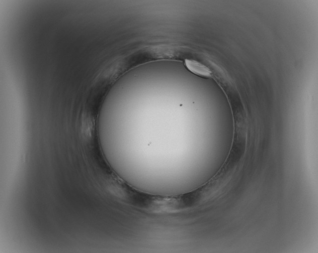 X0000111780125200907231130