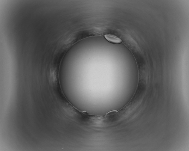 X0000111780131200907231130