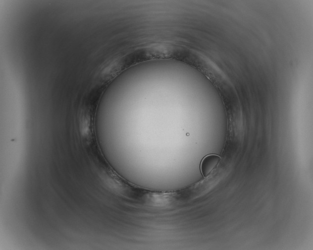 X0000111780134200907231130