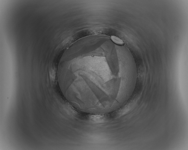 X0000111780139200907231130