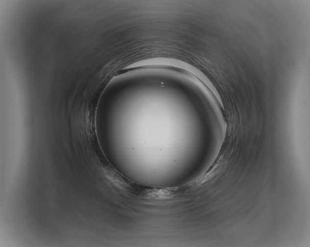 X0000111780140200907231130