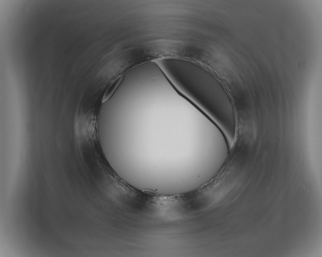 X0000111780141200907231130