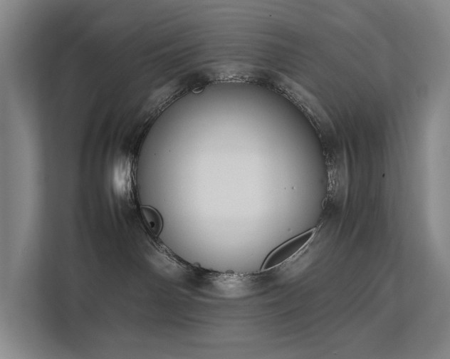 X0000111780142200907231130