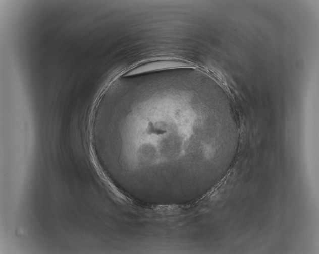 X0000111780145200907231130