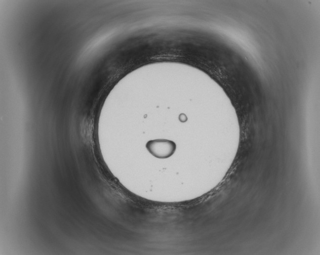 X0000111780146200907231130