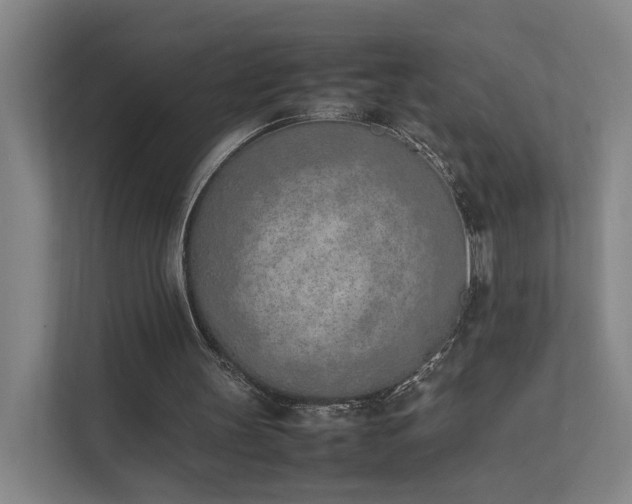 X0000111780147200907231130