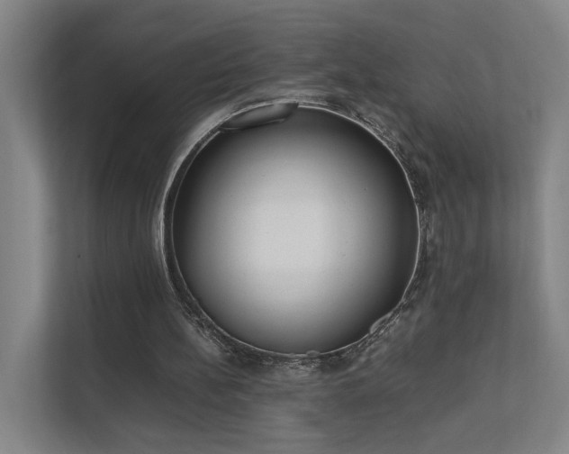X0000111780148200907231130