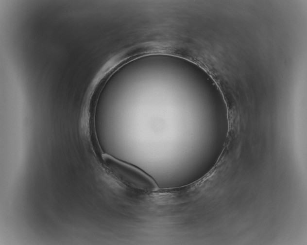 X0000111780150200907231130