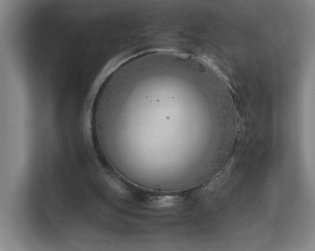 X0000111780151200907231130