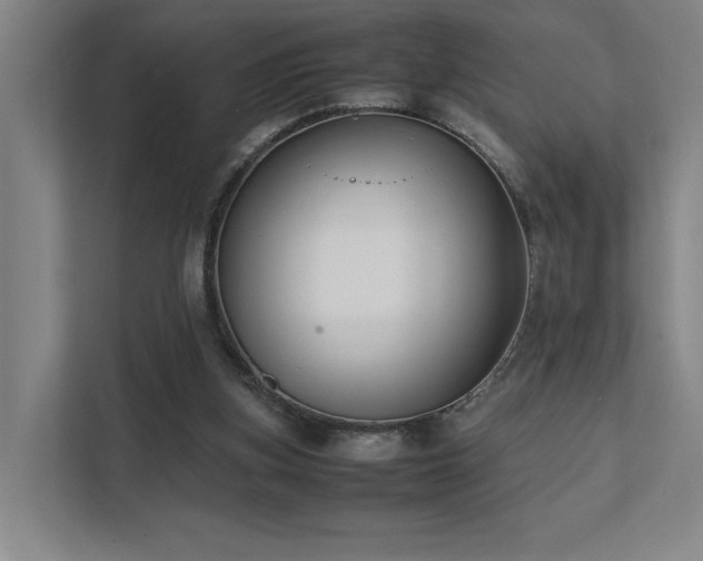 X0000111780155200907231130