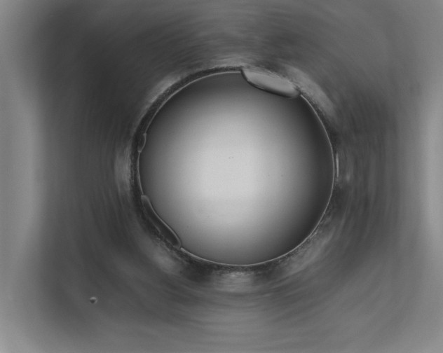 X0000111780156200907231130