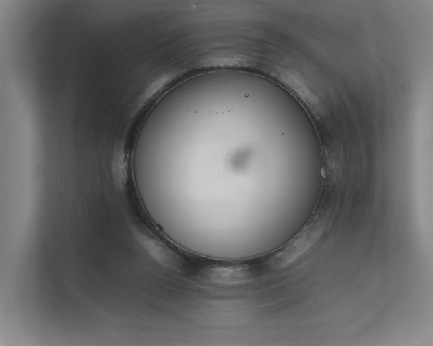X0000111780160200907231130