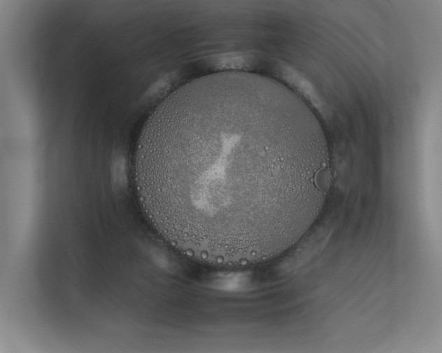 X0000111780161200907231130