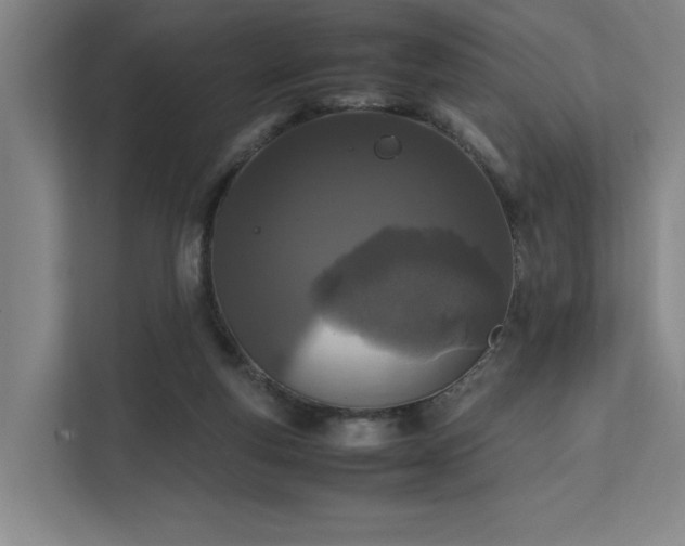 X0000111780163200907231130