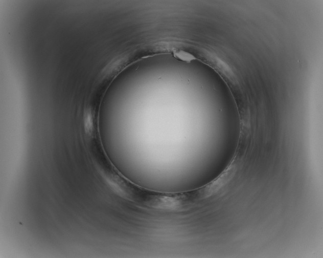 X0000111780166200907231130