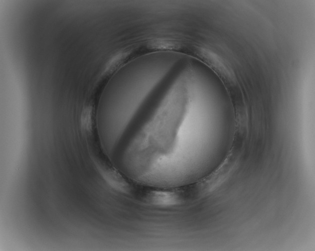 X0000111780167200907231130