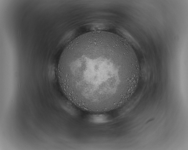 X0000111780169200907231130