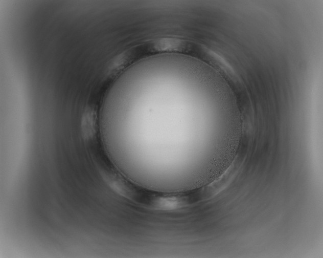 X0000111780171200907231130