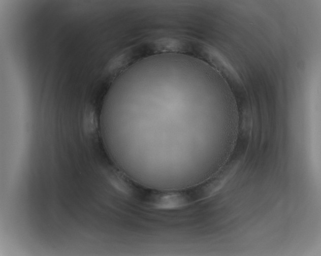 X0000111780173200907231130