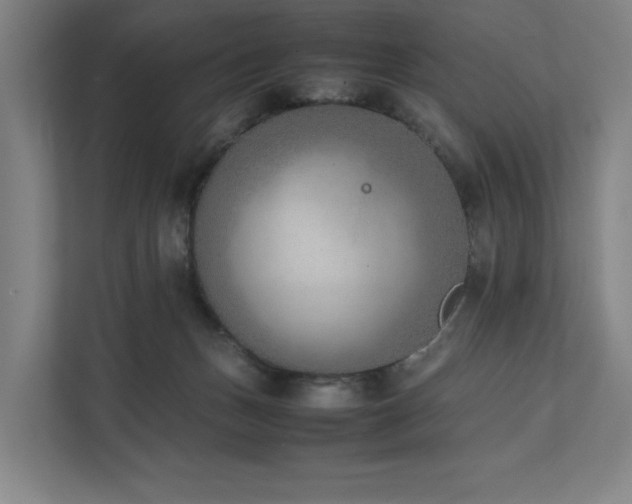 X0000111780175200907231130