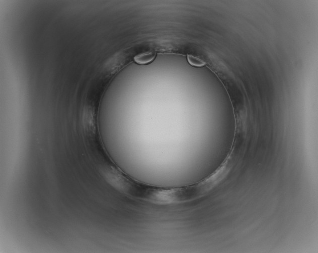 X0000111780178200907231130