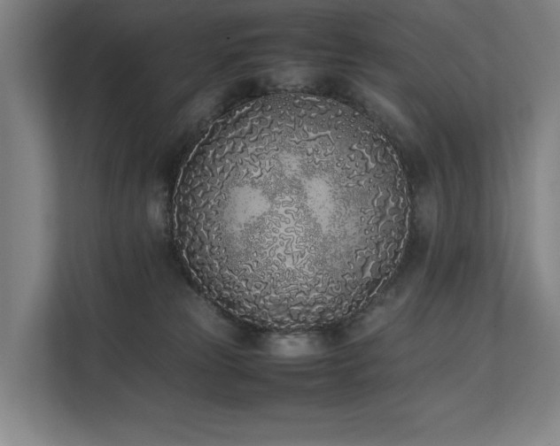 X0000111780181200907231130