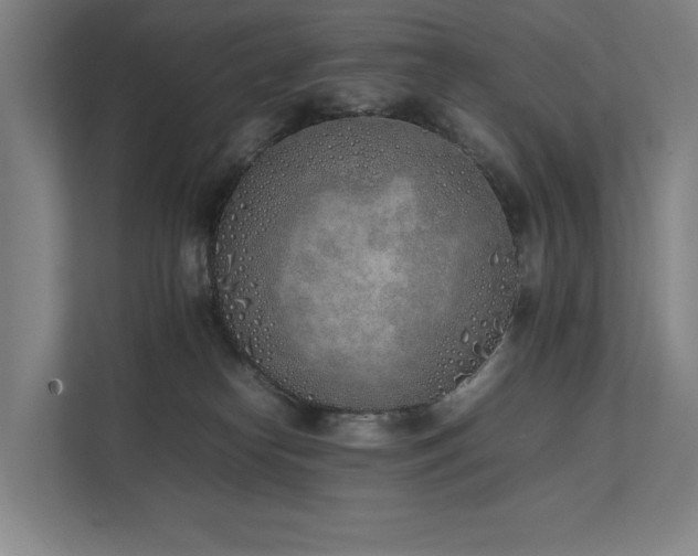 X0000111780182200907231130