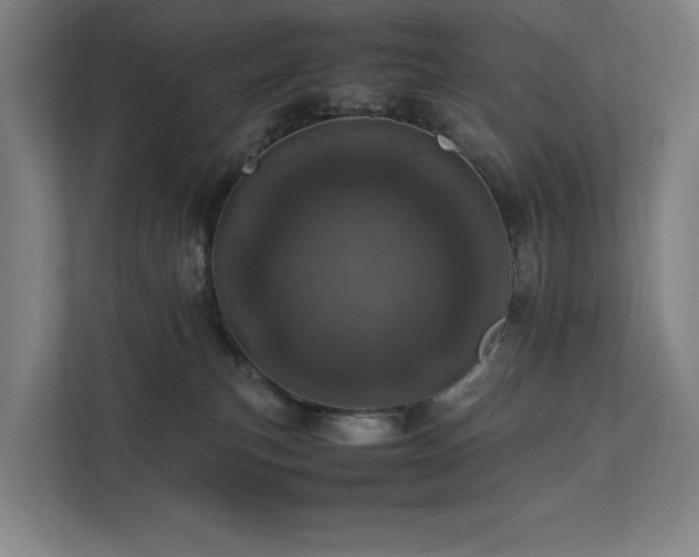 X0000111780183200907231130