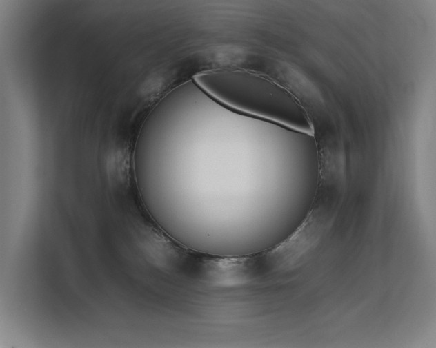X0000111780184200907231130